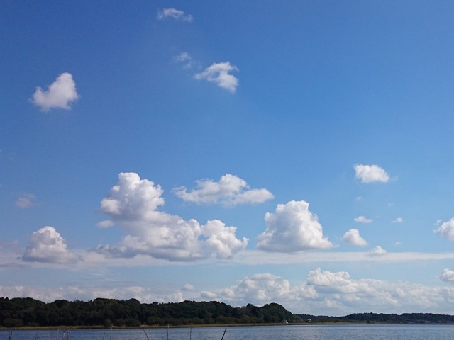 プロショップオオツカ バスフィッシング用品ネット通信販売 ブログ写真 2015/10/09