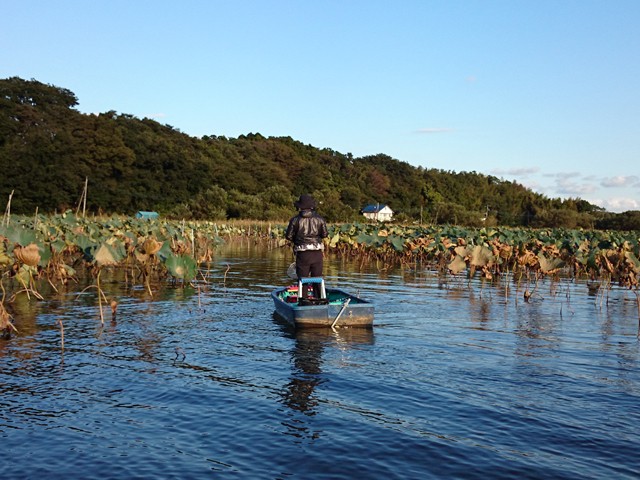 プロショップオオツカ バスフィッシング用品ネット通信販売 ブログ写真 2015/10/09