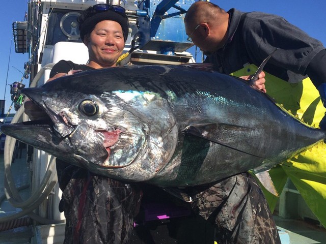 プロショップオオツカ バスフィッシング用品ネット通信販売 ブログ写真 2015/10/09