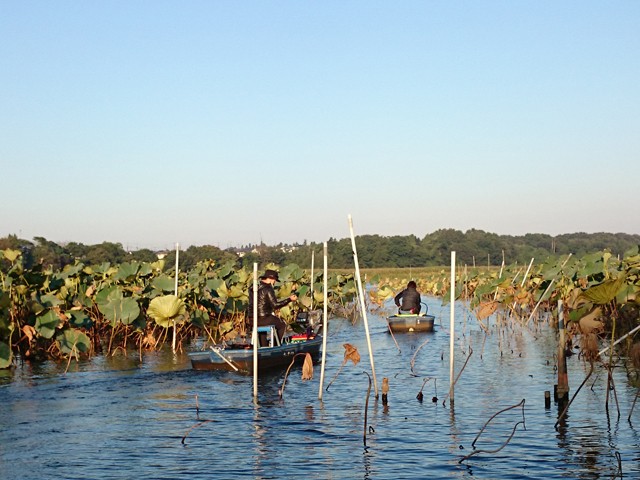 プロショップオオツカ バスフィッシング用品ネット通信販売 ブログ写真 2015/10/09