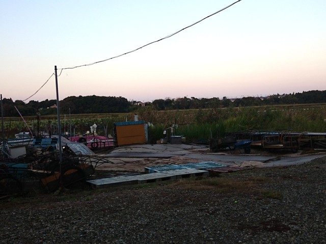 プロショップオオツカ バスフィッシング用品ネット通信販売 ブログ写真 2015/10/09