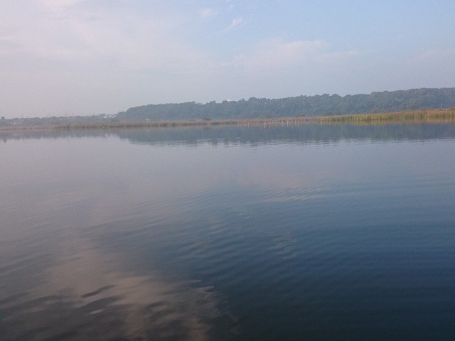 プロショップオオツカ バスフィッシング用品ネット通信販売 ブログ写真 2015/10/24