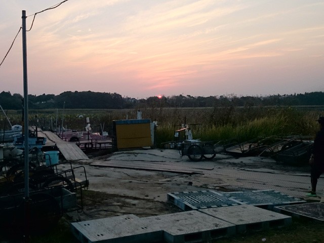 プロショップオオツカ バスフィッシング用品ネット通信販売 ブログ写真 2015/10/24