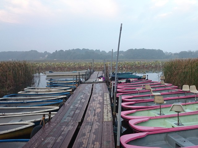 プロショップオオツカ バスフィッシング用品ネット通信販売 ブログ写真 2015/10/24