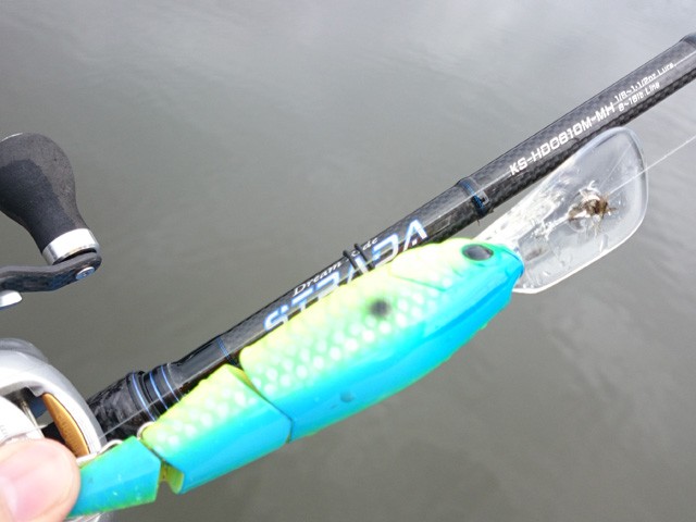 プロショップオオツカ バスフィッシング用品ネット通信販売 ブログ写真 2015/11/25