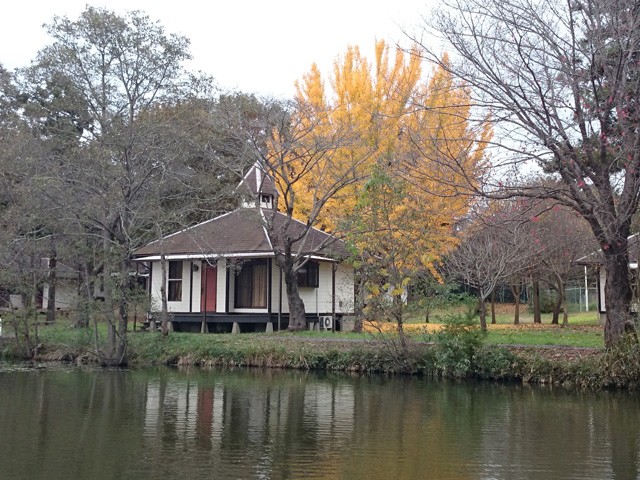 プロショップオオツカ バスフィッシング用品ネット通信販売 ブログ写真 2015/11/25