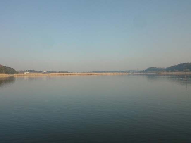 プロショップオオツカ バスフィッシング用品ネット通信販売 ブログ写真 2016/04/02