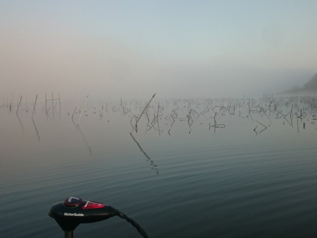 プロショップオオツカ バスフィッシング用品ネット通信販売 ブログ写真 2016/04/02