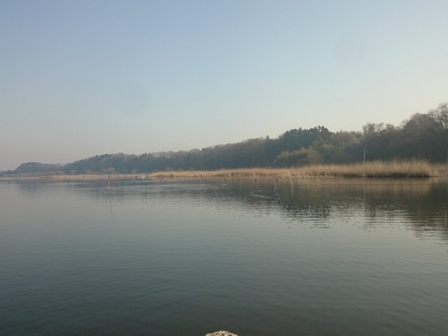 プロショップオオツカ バスフィッシング用品ネット通信販売 ブログ写真 2016/04/02