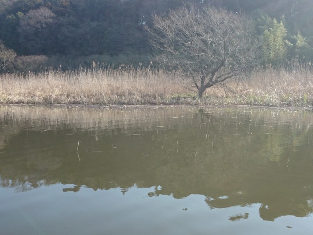 プロショップオオツカ バスフィッシング用品ネット通信販売 ブログ写真 2016/04/02