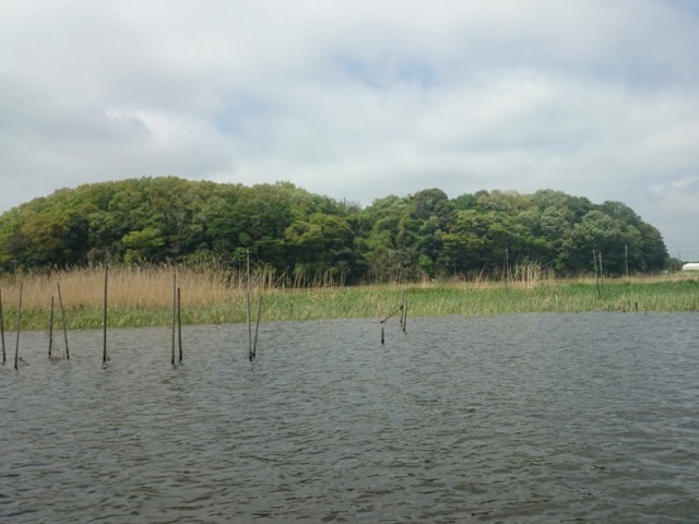 プロショップオオツカ バスフィッシング用品ネット通信販売 ブログ写真 2016/04/27