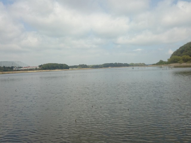 プロショップオオツカ バスフィッシング用品ネット通信販売 ブログ写真 2016/04/27