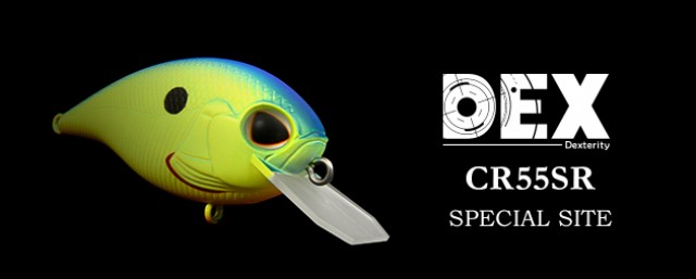 プロショップオオツカ バスフィッシング用品ネット通信販売 ブログ写真 2016/06/11