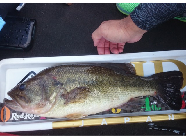 プロショップオオツカ バスフィッシング用品ネット通信販売 ブログ写真 2016/06/16