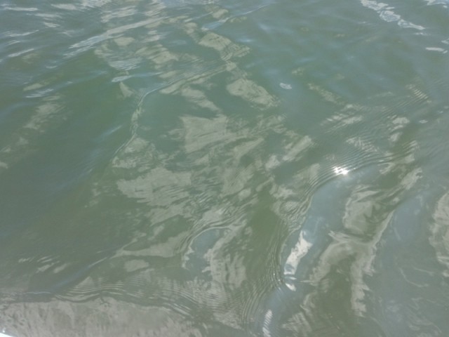 プロショップオオツカ バスフィッシング用品ネット通信販売 ブログ写真 2016/06/16