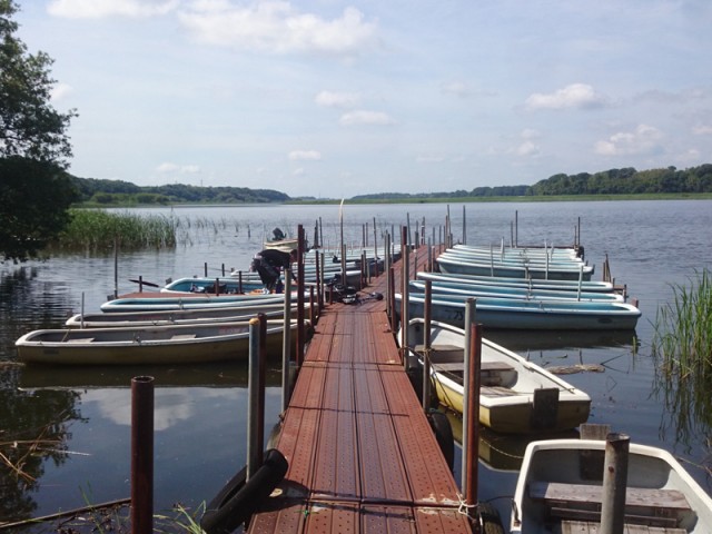 プロショップオオツカ バスフィッシング用品ネット通信販売 ブログ写真 2016/06/16