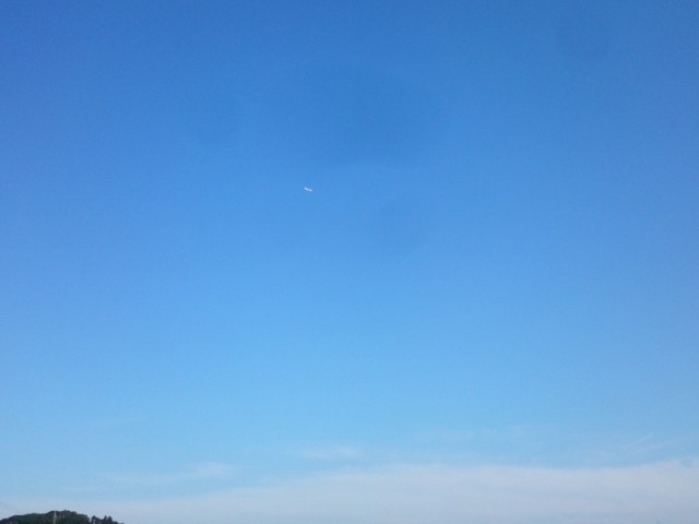 プロショップオオツカ バスフィッシング用品ネット通信販売 ブログ写真 2016/06/16