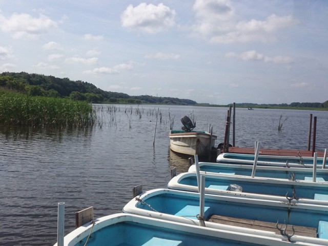 プロショップオオツカ バスフィッシング用品ネット通信販売 ブログ写真 2016/06/16