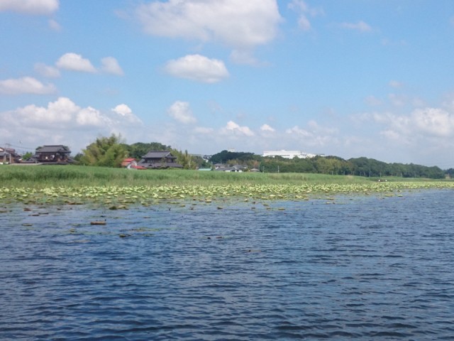 プロショップオオツカ バスフィッシング用品ネット通信販売 ブログ写真 2016/06/16