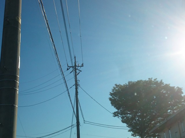 プロショップオオツカ バスフィッシング用品ネット通信販売 ブログ写真 2016/06/16