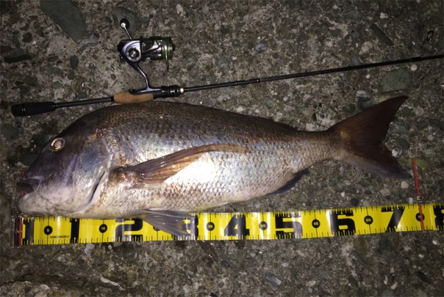 プロショップオオツカ バスフィッシング用品ネット通信販売 ブログ写真 2016/06/17