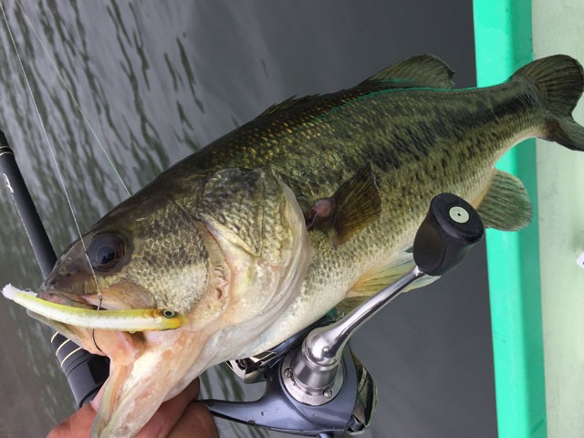 プロショップオオツカ バスフィッシング用品ネット通信販売 ブログ写真 2016/06/17