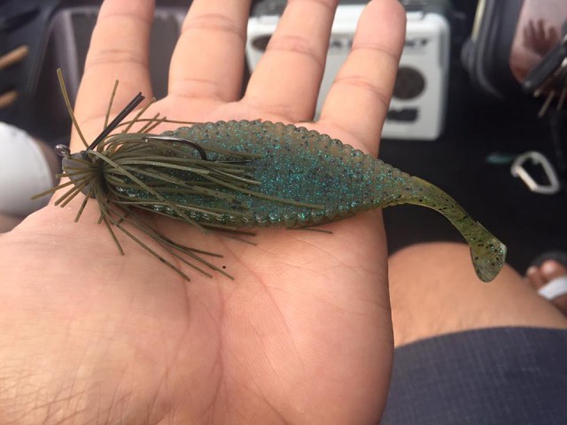 プロショップオオツカ バスフィッシング用品ネット通信販売 ブログ写真 2016/07/13