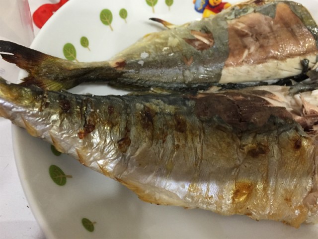 プロショップオオツカ バスフィッシング用品ネット通信販売 ブログ写真 2016/07/24