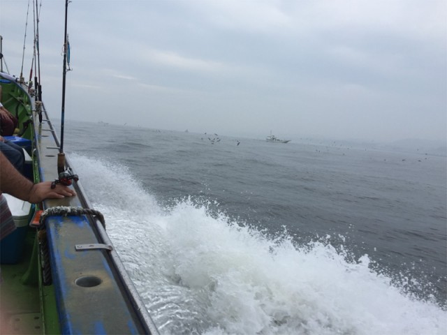 プロショップオオツカ バスフィッシング用品ネット通信販売 ブログ写真 2016/07/24