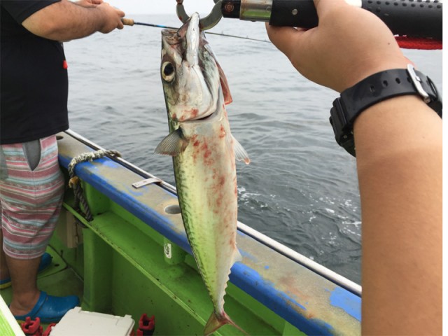 プロショップオオツカ バスフィッシング用品ネット通信販売 ブログ写真 2016/07/24