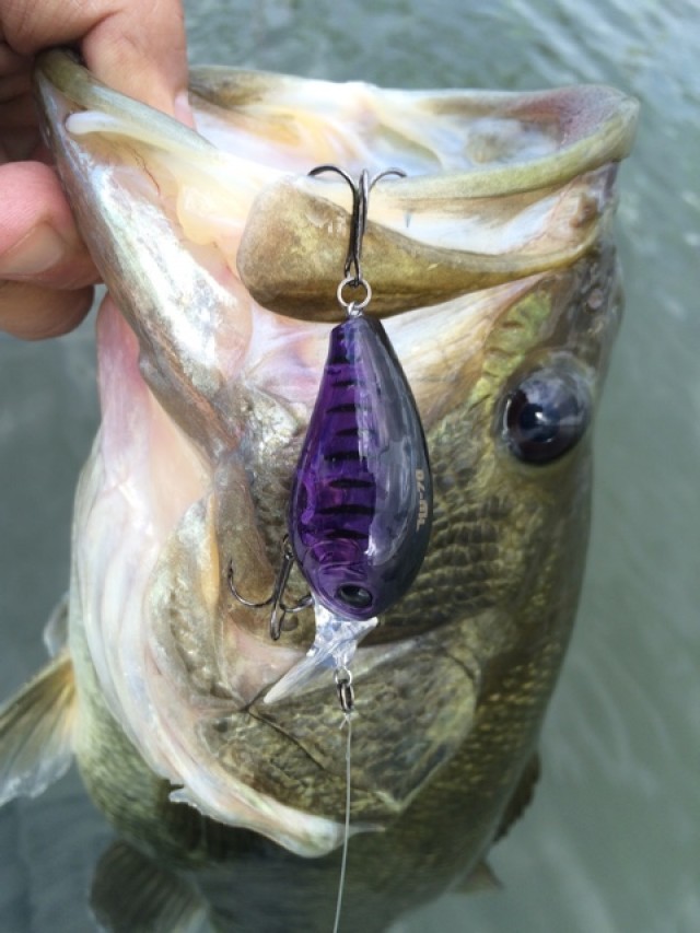 プロショップオオツカ バスフィッシング用品ネット通信販売 ブログ写真 2016/09/10