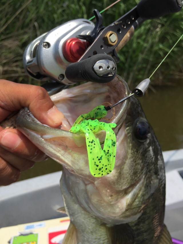 プロショップオオツカ バスフィッシング用品ネット通信販売 ブログ写真 2016/09/25