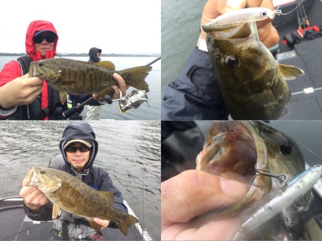 プロショップオオツカ バスフィッシング用品ネット通信販売 ブログ写真 2016/10/14