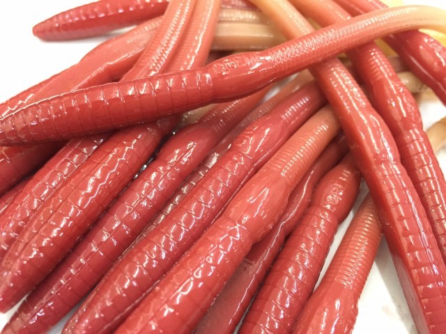 プロショップオオツカ バスフィッシング用品ネット通信販売 ブログ写真 2017/06/07