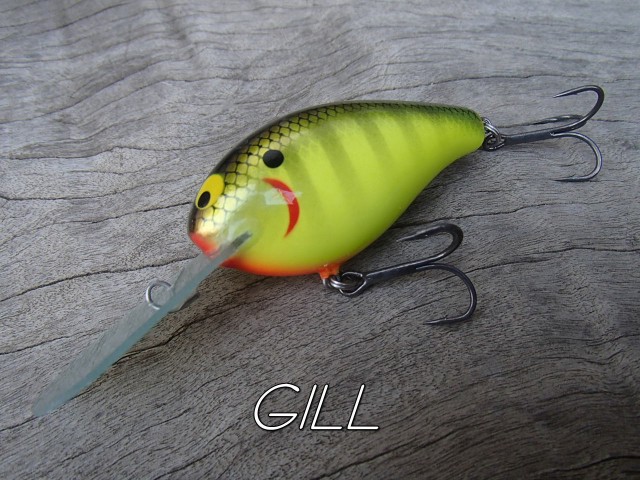 プロショップオオツカ バスフィッシング用品ネット通信販売 ブログ写真 2018/08/16