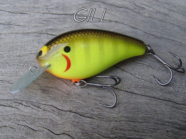 プロショップオオツカ バスフィッシング用品ネット通信販売 ブログ写真 2018/08/16