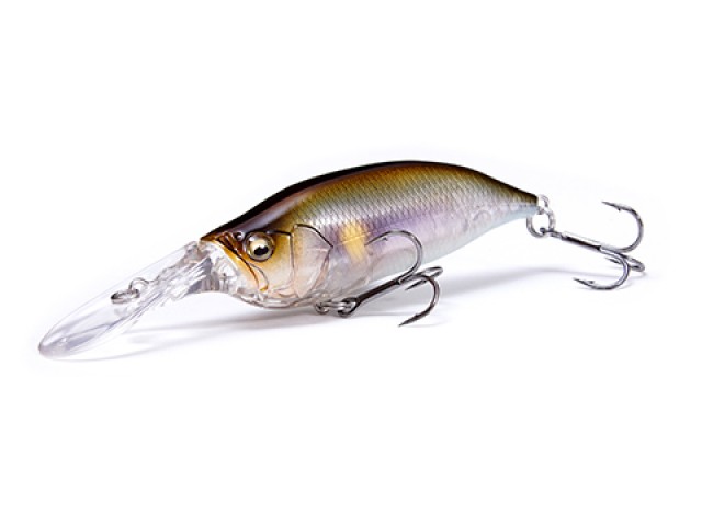 プロショップオオツカ バスフィッシング用品ネット通信販売 ブログ写真 2018/10/25