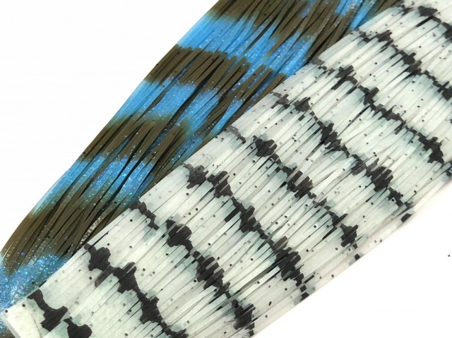 プロショップオオツカ バスフィッシング用品ネット通信販売 ブログ写真 2018/10/29