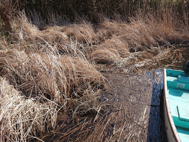 プロショップオオツカ バスフィッシング用品ネット通信販売 ブログ写真 2019/03/22