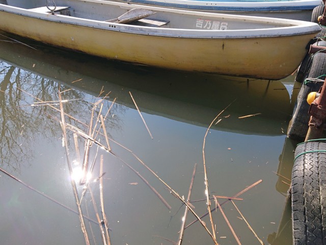 プロショップオオツカ バスフィッシング用品ネット通信販売 ブログ写真 2019/03/22