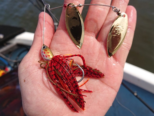 プロショップオオツカ バスフィッシング用品ネット通信販売 ブログ写真 2019/03/22