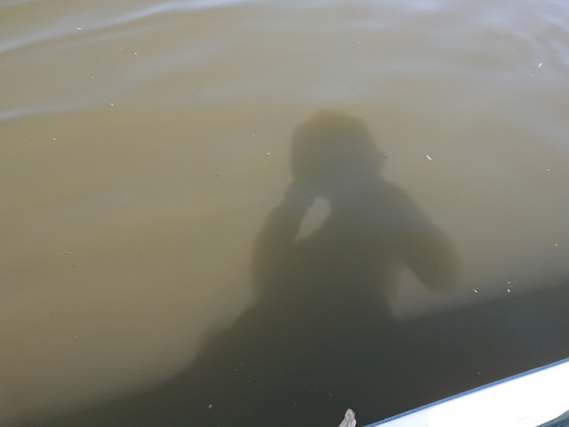 プロショップオオツカ バスフィッシング用品ネット通信販売 ブログ写真 2019/03/22