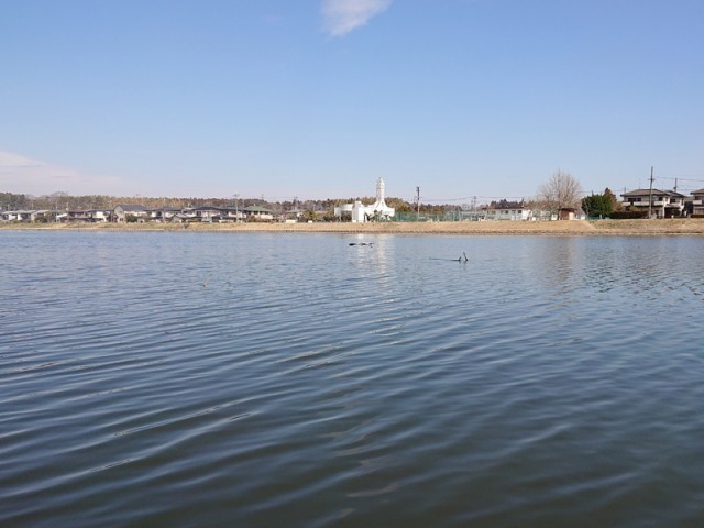 プロショップオオツカ バスフィッシング用品ネット通信販売 ブログ写真 2019/03/22