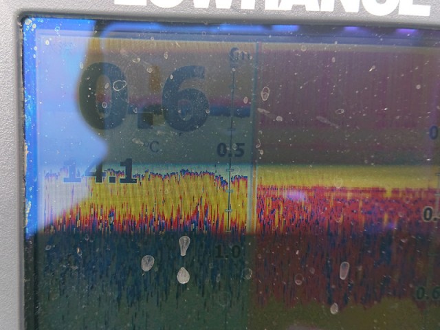 プロショップオオツカ バスフィッシング用品ネット通信販売 ブログ写真 2019/03/22