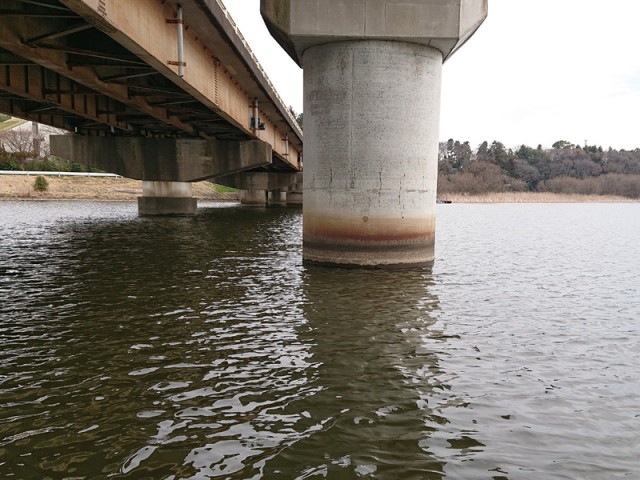 プロショップオオツカ バスフィッシング用品ネット通信販売 ブログ写真 2019/03/22