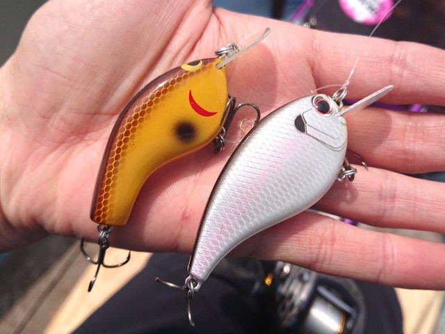 プロショップオオツカ バスフィッシング用品ネット通信販売 ブログ写真 2019/04/29