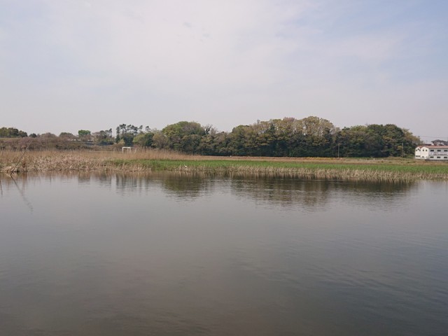 プロショップオオツカ バスフィッシング用品ネット通信販売 ブログ写真 2019/04/29