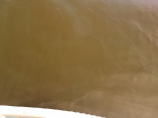 プロショップオオツカ バスフィッシング用品ネット通信販売 ブログ写真 2019/04/29