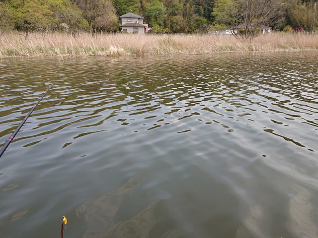 プロショップオオツカ バスフィッシング用品ネット通信販売 ブログ写真 2019/04/29