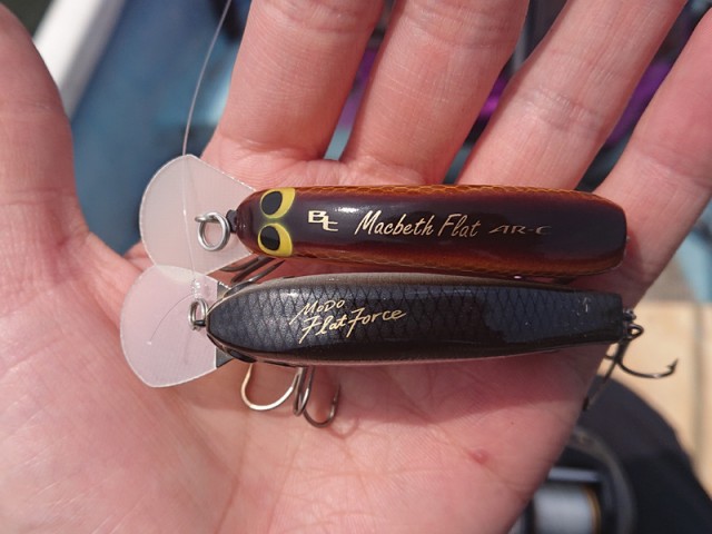 プロショップオオツカ バスフィッシング用品ネット通信販売 ブログ写真 2019/04/29